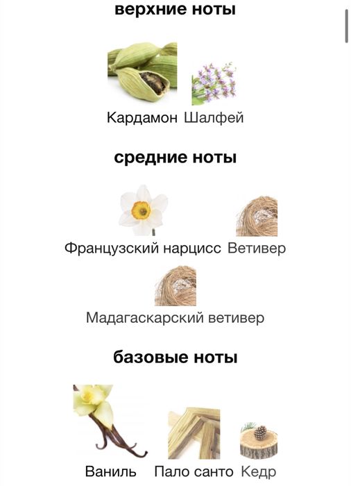 Gentleman Givenchy Society