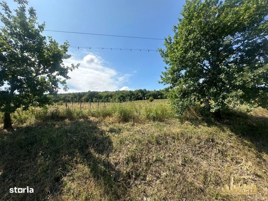 Teren intravilan de 576 mp de vanzare pe drumul DC59 , Haieu - Bihor