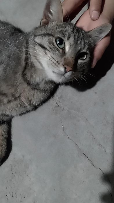 Rus uy qurilishi porno porno foto galereyasi