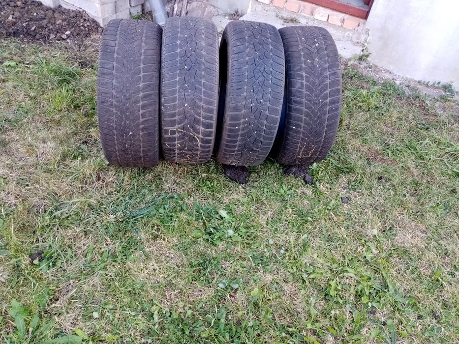 Anvelope de iarna Winter Sport 4D 225/50 R17