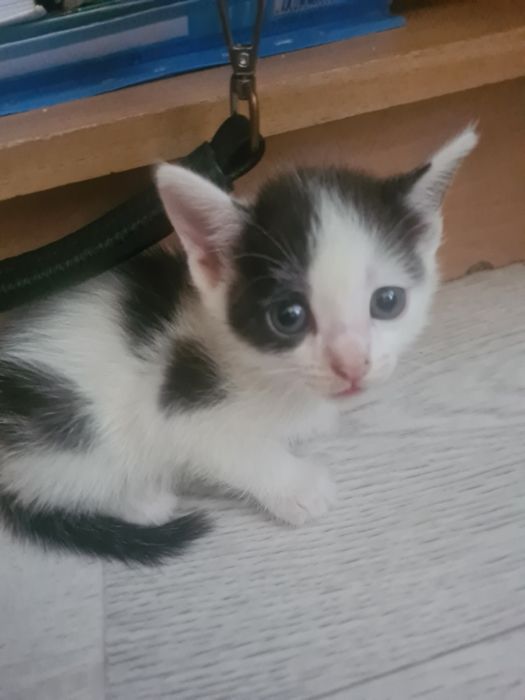 Порно минет әже