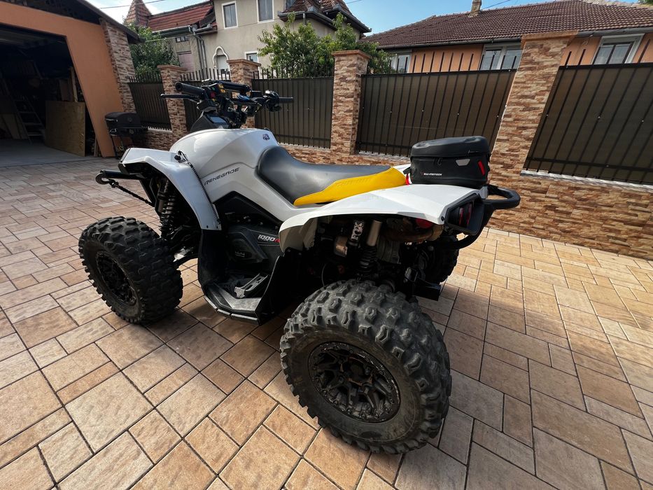 Can am renegade 1000R