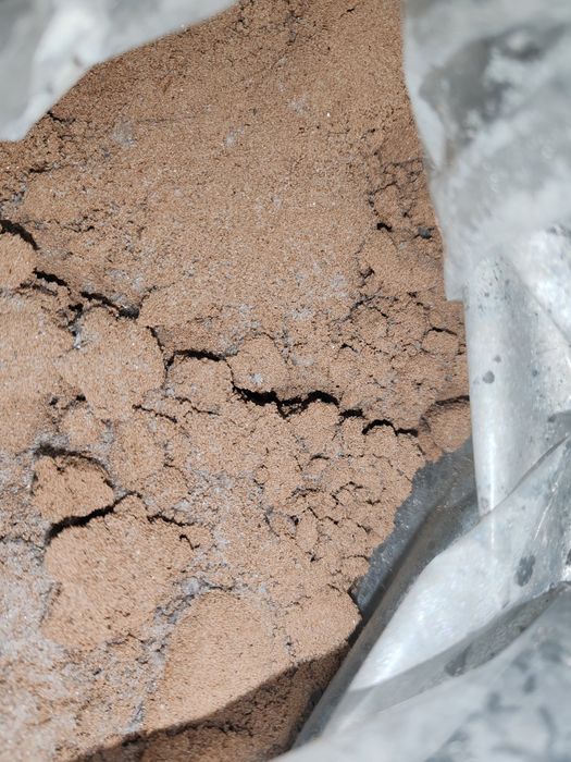 Oua artemia umeda, rata de eclozare foarte buna!!