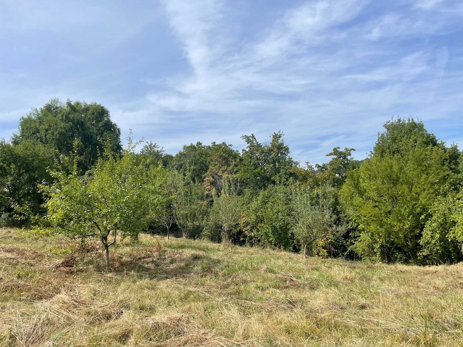 Teren intravilan 2.359 mp Valea lui Enache, Baiculesti, apa, curent, asfalt