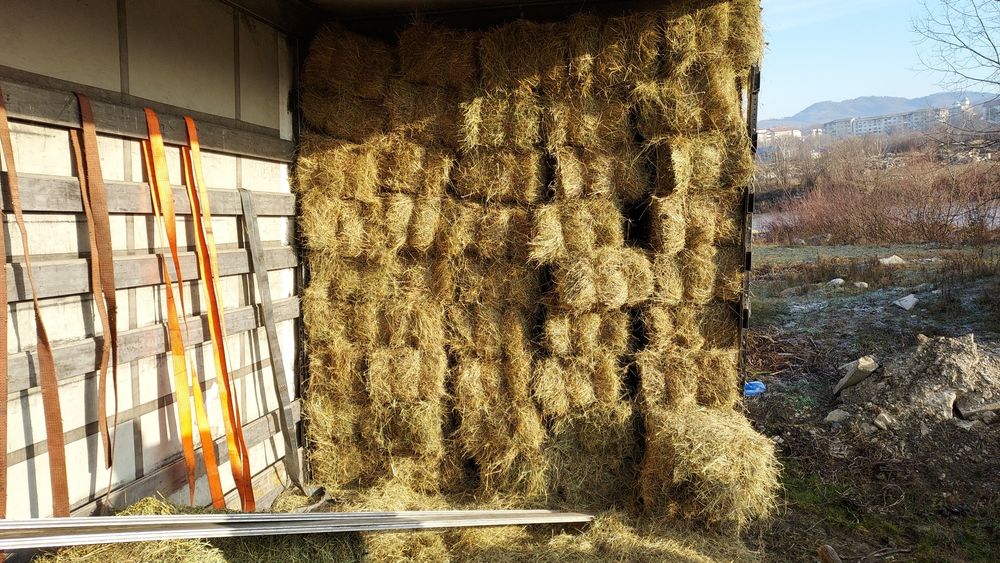 Baloți de fân, lucernă dreptunghiular,rotund! Se asigura transport!