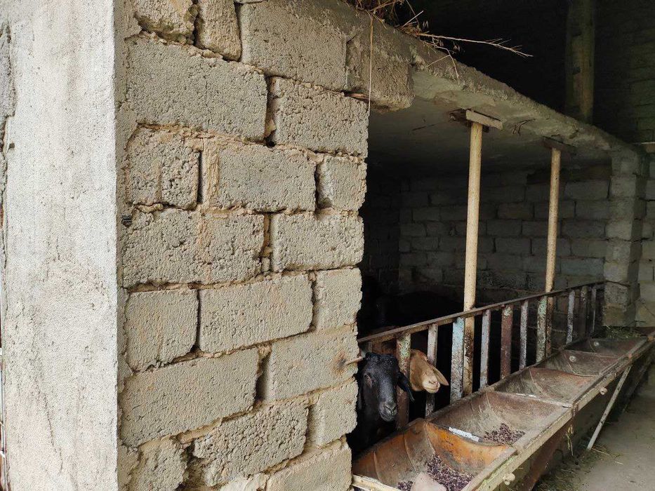 Uy sotiladi. Srochna