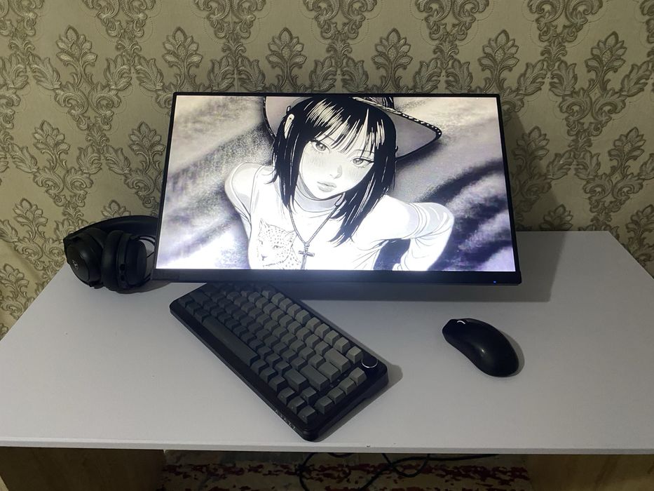 Монитор с кронштейном