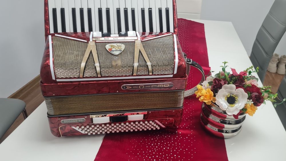 AcordeonHohner 60, Firotti 96 Hohner Parot,Delicia 80