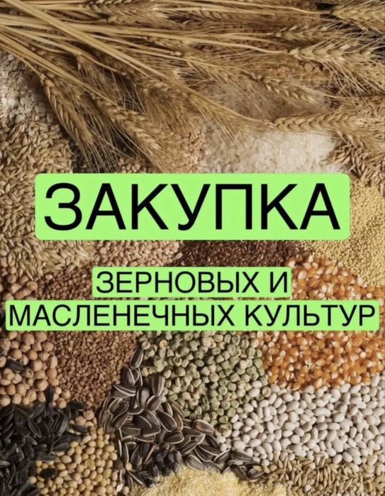 Пшеница Ячмень за наличные и с НДС