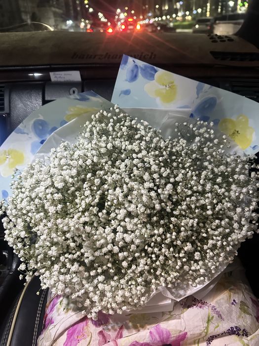 Цветы, гипсофилы