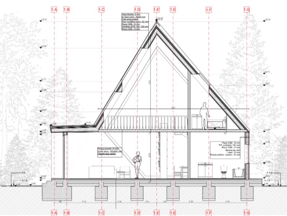 Exacutam cabane case pe lemn