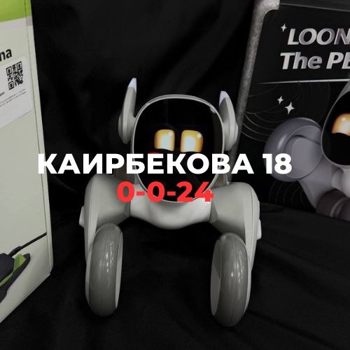 PetBot Loona | BaiTime
