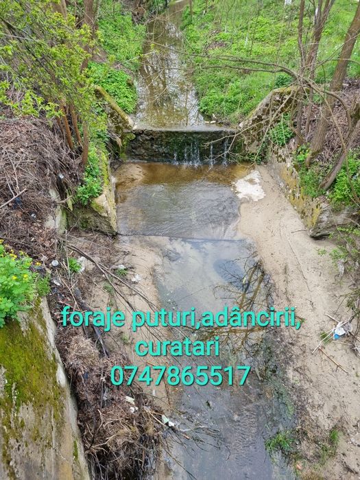 Executam puturi in toate judetele