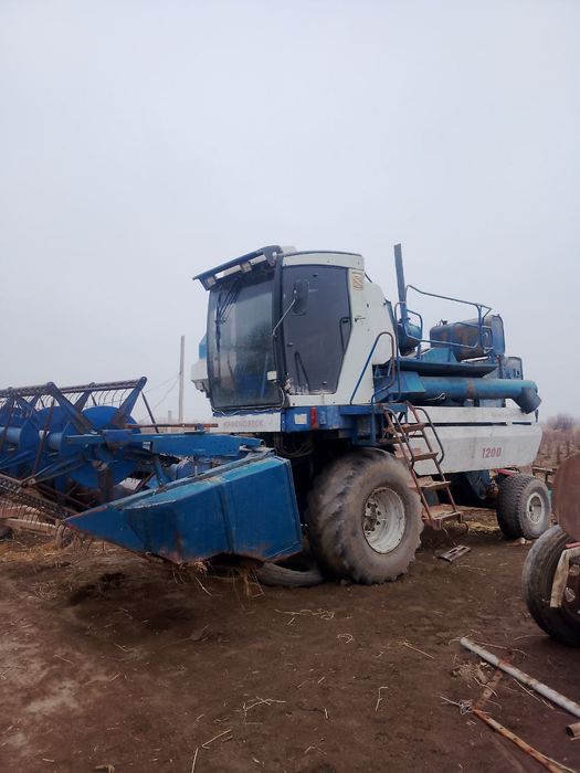 Enisey qanbayin sotiladi