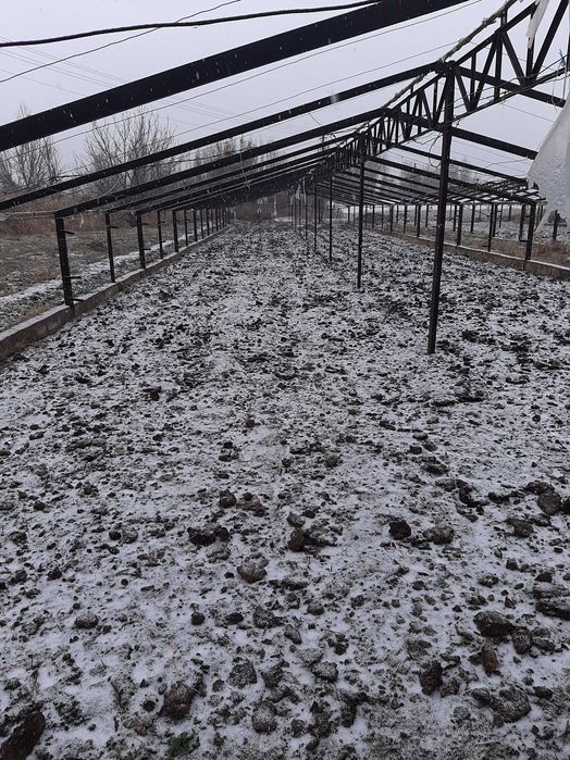 Noturar bino issiqxona inshoatlari sotiladi