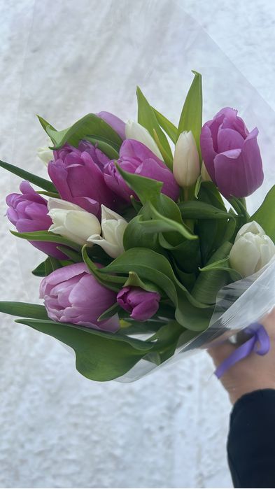 Тюльпаны крупные