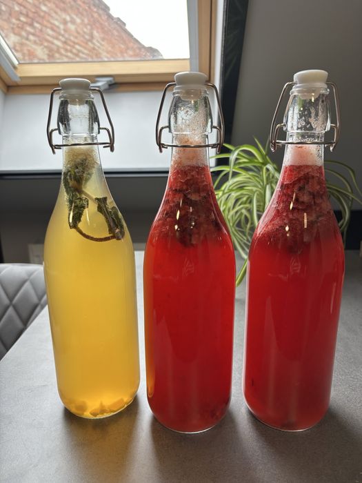 Kombucha ceai fermentat