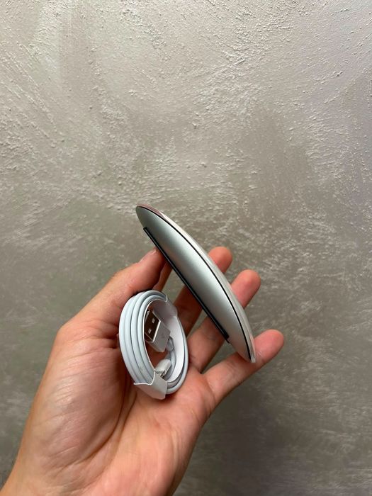 • Apple Magic Mouse 2 •