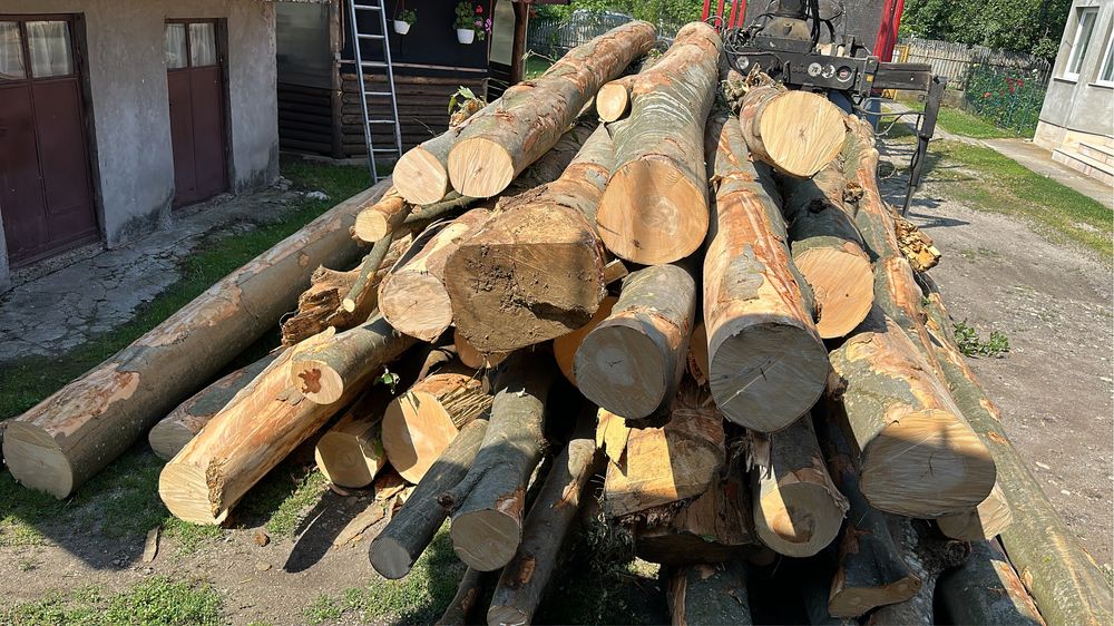 Lemne de foc Fag Stejar Carpen Salcam