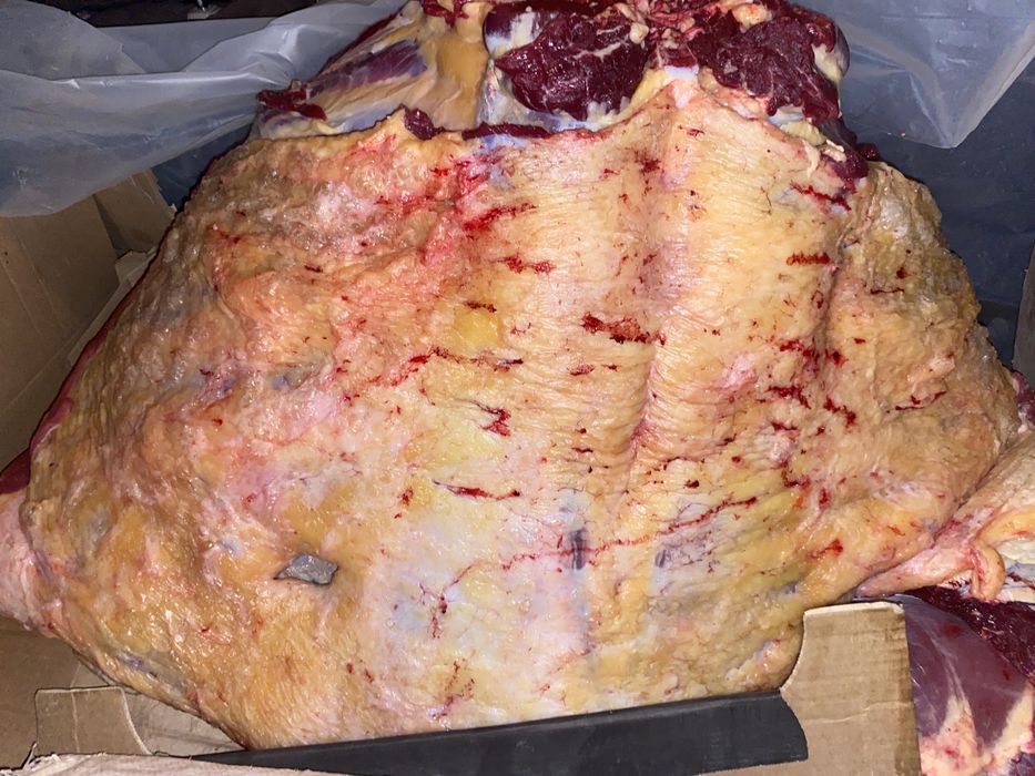 Құнажын қашардың еті семіз