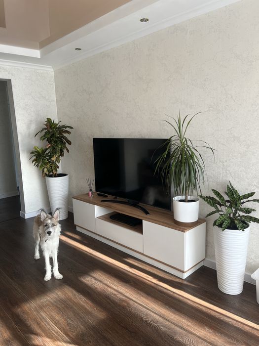 Отдам молодого кобеля