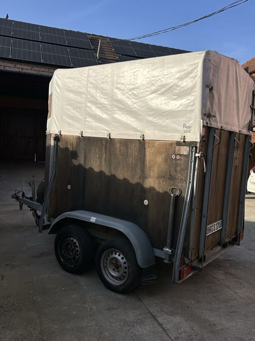 Remorca animale bockmann