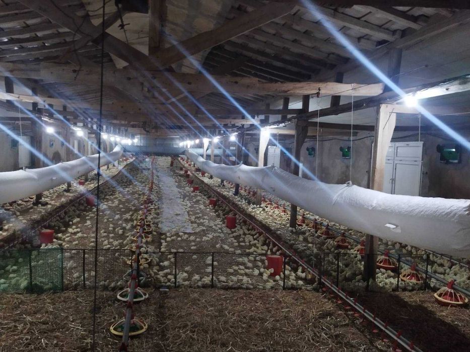 Продава се Склад в Търговище, Въбел - 1216 кв.м за 286 €/кв.м - Снимка #9