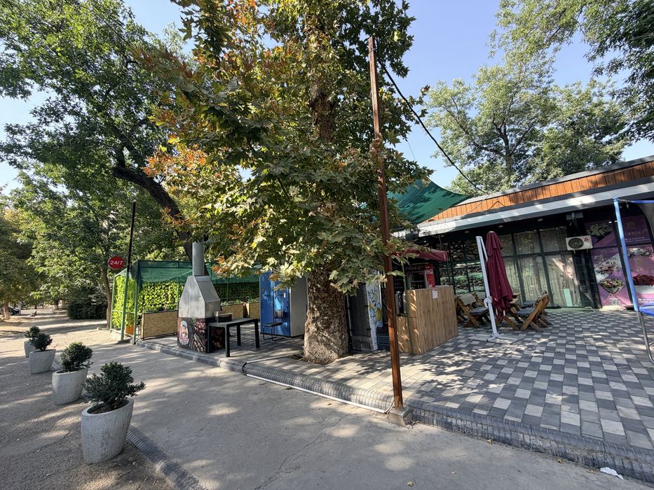 Tayyor daromadlik doimiy egalik huquqi bn joy sotiladi