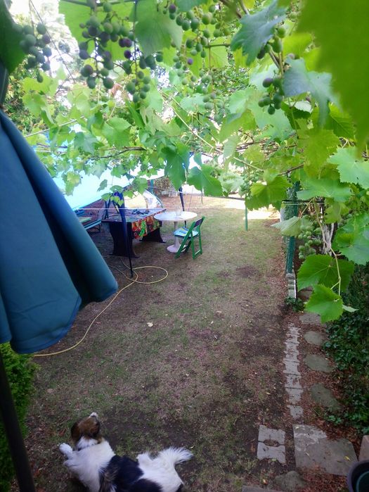 Вила -Замяна! 3 км от гр.Банкя!