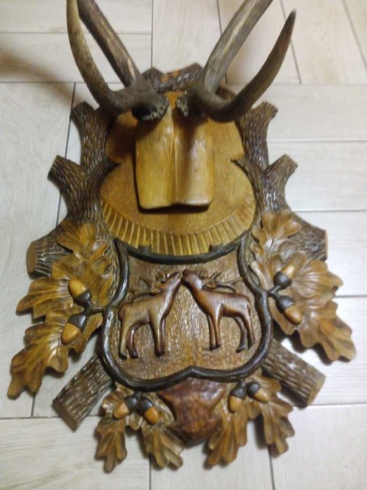 Vand urgent coarne de cerb cu panoplie