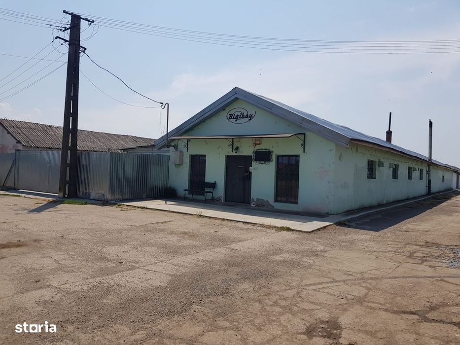 De vanzare Hala / Depozit Satu Mare