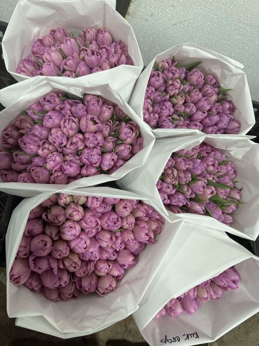 Тюльпаны оптом Алматы(область)