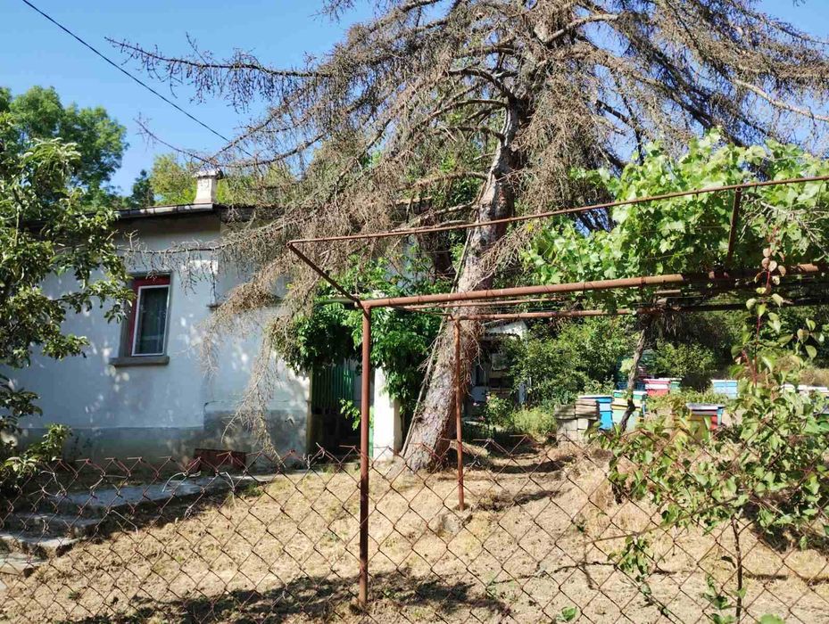 Продава се Къща в с. Ново Янково, Област Шумен - 40 кв.м за 638 €/кв.м - Снимка #1