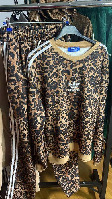 Trening de dama nou cu ericheta