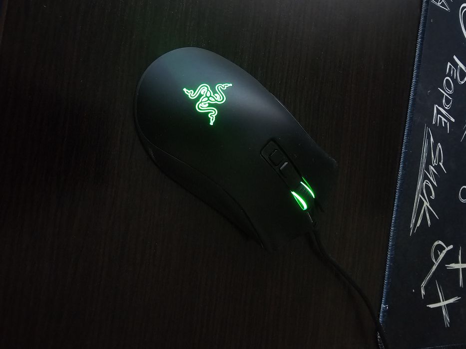 Razer DeathAdder V2 — игровая мышь