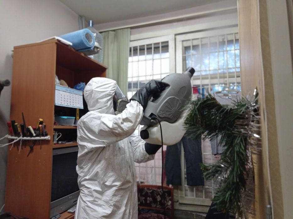 Dezinfeksiya klop tarakan burga Дезинфекция от 250 000 сум Яшнабад