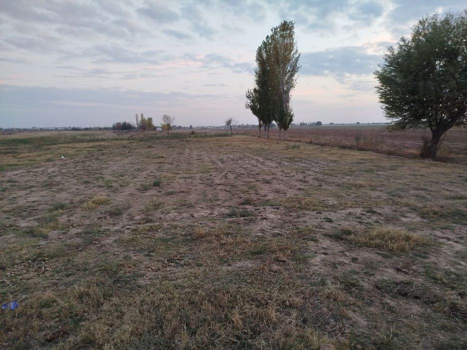 Toza yer joyi tomorqa