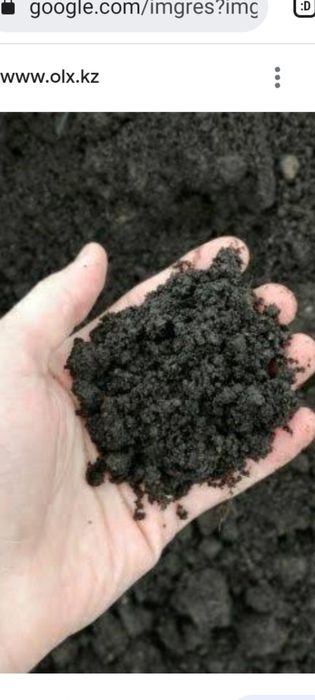 Биогумус,черви продам