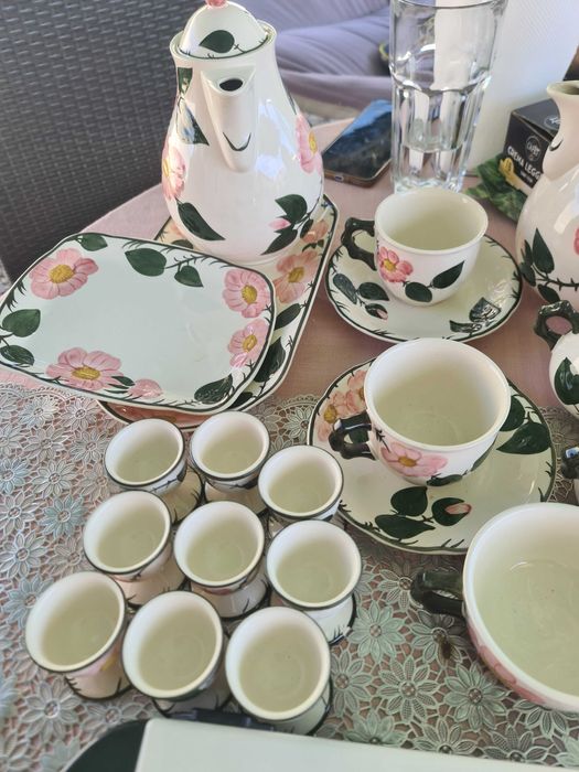 Wild-Rose  si Vileroy&Boch pictate de mana 41 de piese +plita electric