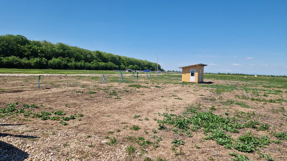 Teren intravilan Crevedia (17km de București)