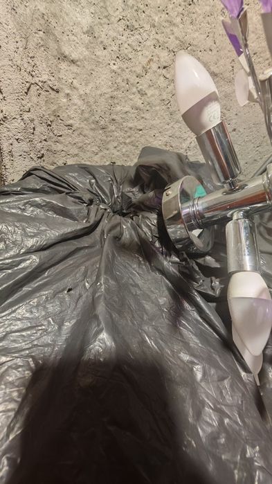 Полилей два броя