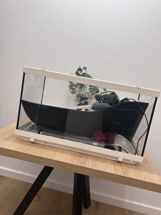 Acvariu  pentru pesti