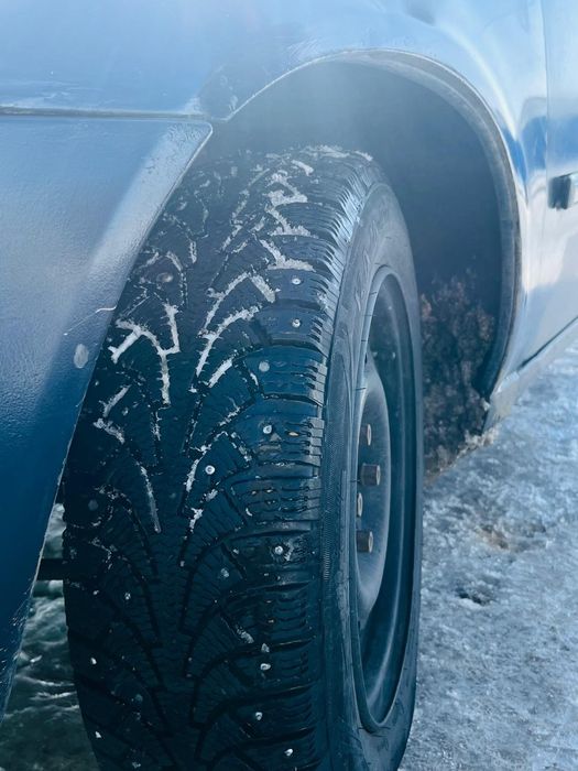 Калина ЛЮКС  2009