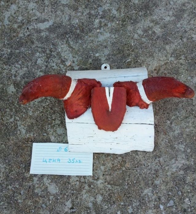 Трофеи от диви и домашни животни, дървена стойка за дискове.