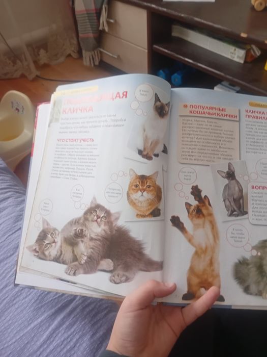 Книга про Кошек и Котят