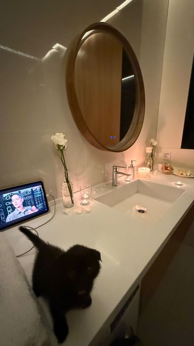 Котенок Скоттиш Фолд