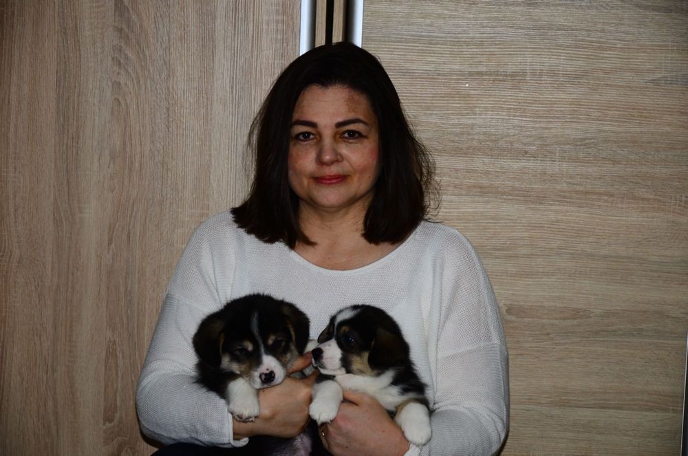 Caut să închiriez o casă la marginea Bucureștiului.