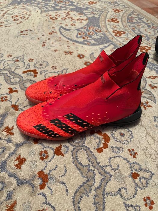 Предатор сараканошки продаются