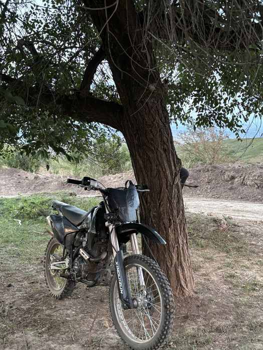 Эндуро xinguizin 06 300cc