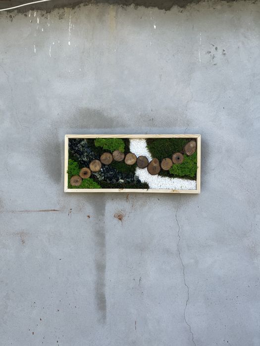 Tablou din licheni 70x30 cm